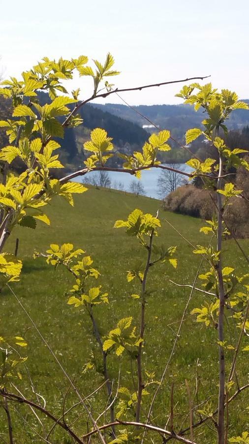 Ferienhaus " Silly " Am Schoenen Listersee ไมเนอร์ซาเกิน ภายนอก รูปภาพ
